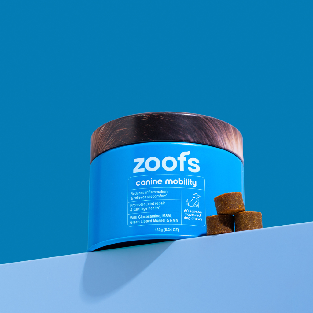 Active Bundle for Dogs - Mobility, Longevity, Gut & Digestive Health