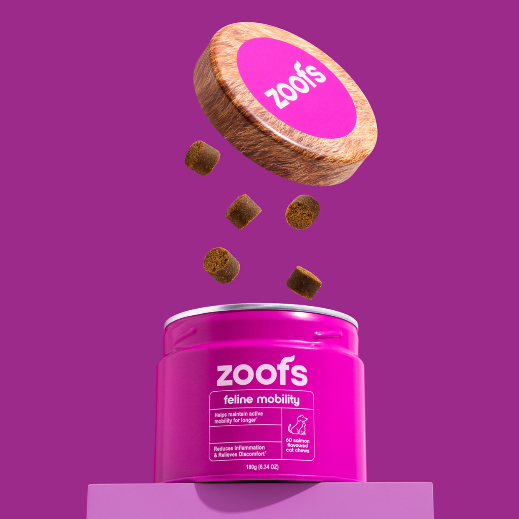 Active Bundle for Cats - Mobility, Longevity, Gut & Digestive Health