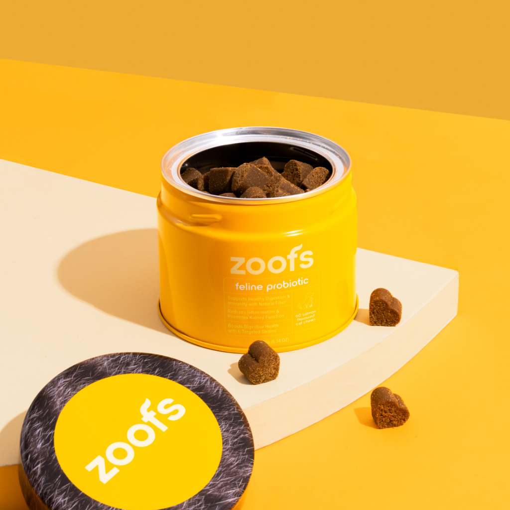 Active Bundle for Cats - Mobility, Longevity, Gut & Digestive Health