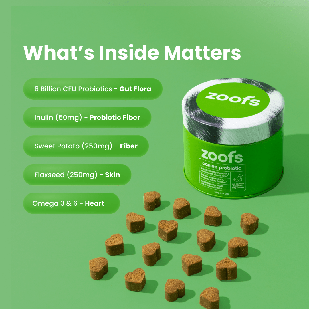 Probiotics for Dogs - Gut & Digestive Health