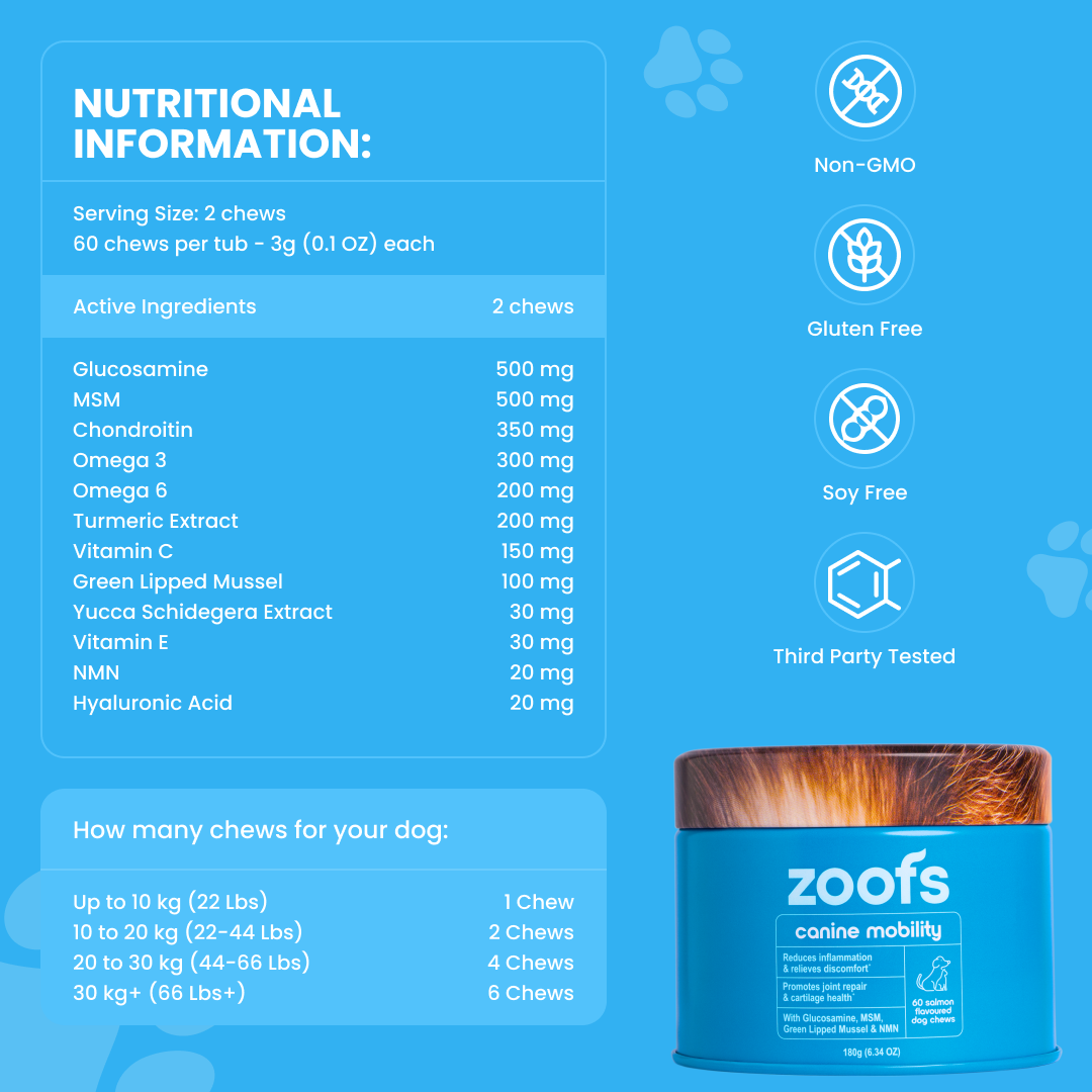 Active Bundle for Dogs - Mobility, Longevity, Gut & Digestive Health