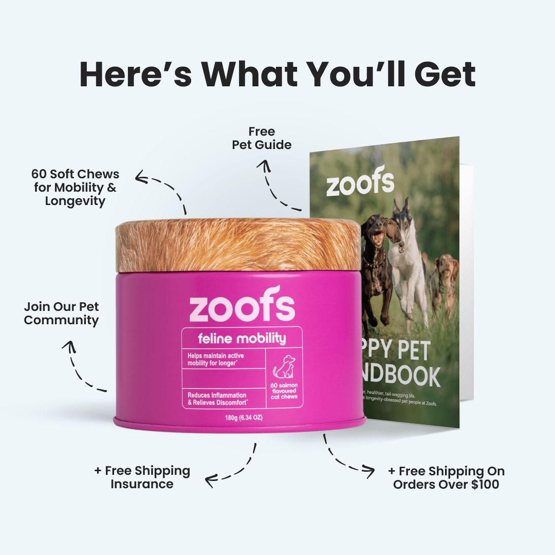 Mobility for Cats - Hip & Joint Health