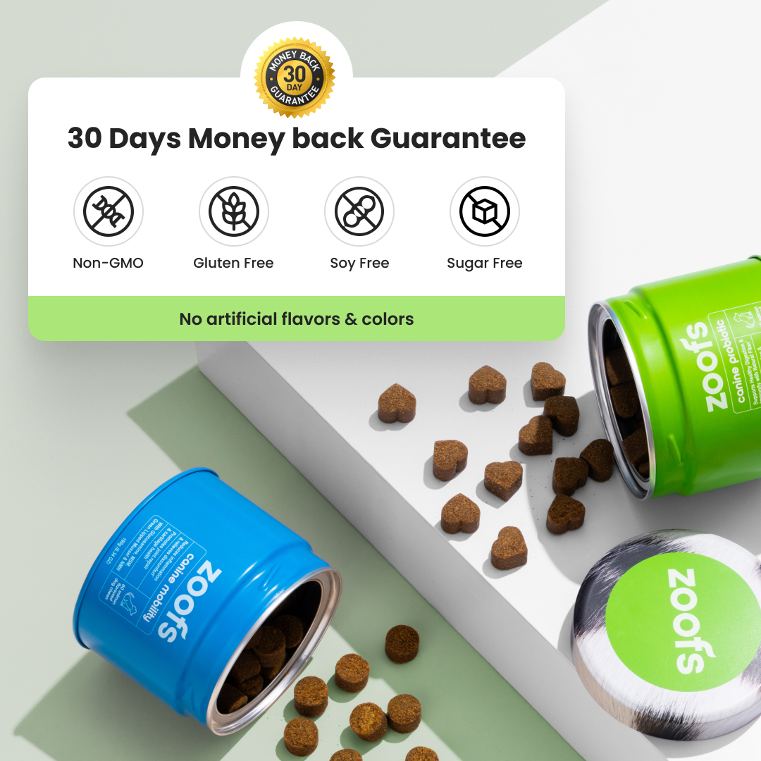 Probiotics for Dogs - Gut & Digestive Health