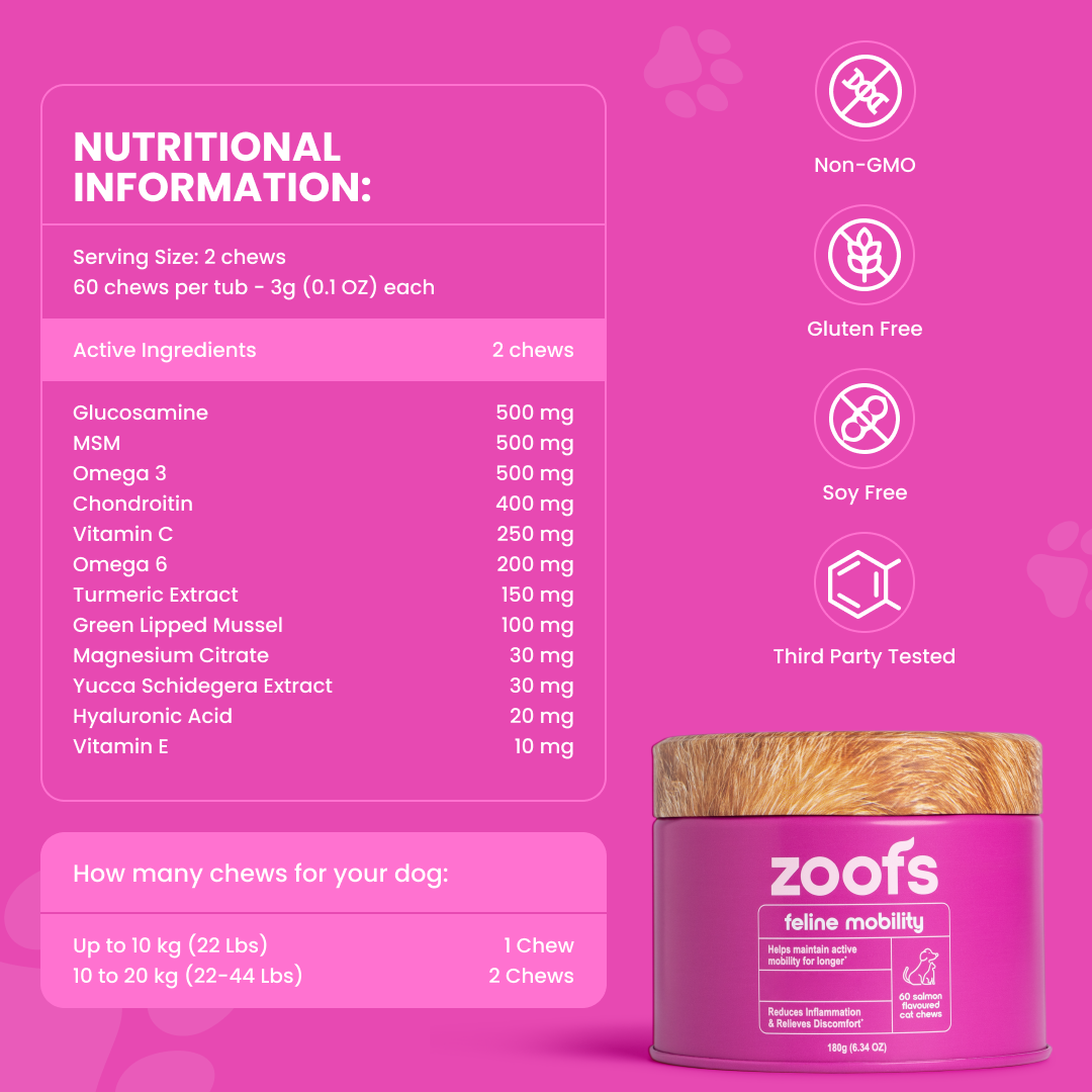 Mobility for Cats - Hip & Joint Health