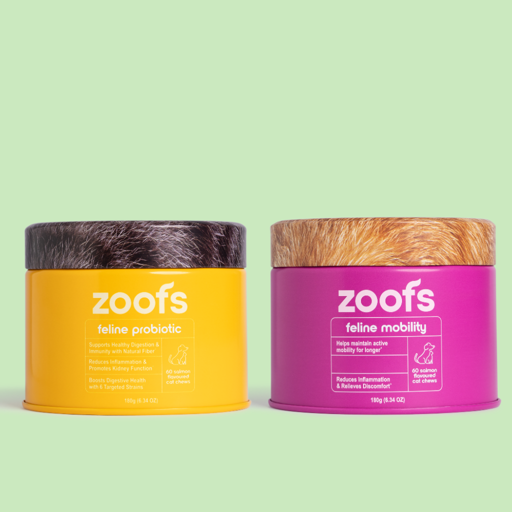 Active Bundle for Cats - Mobility, Longevity, Gut & Digestive Health