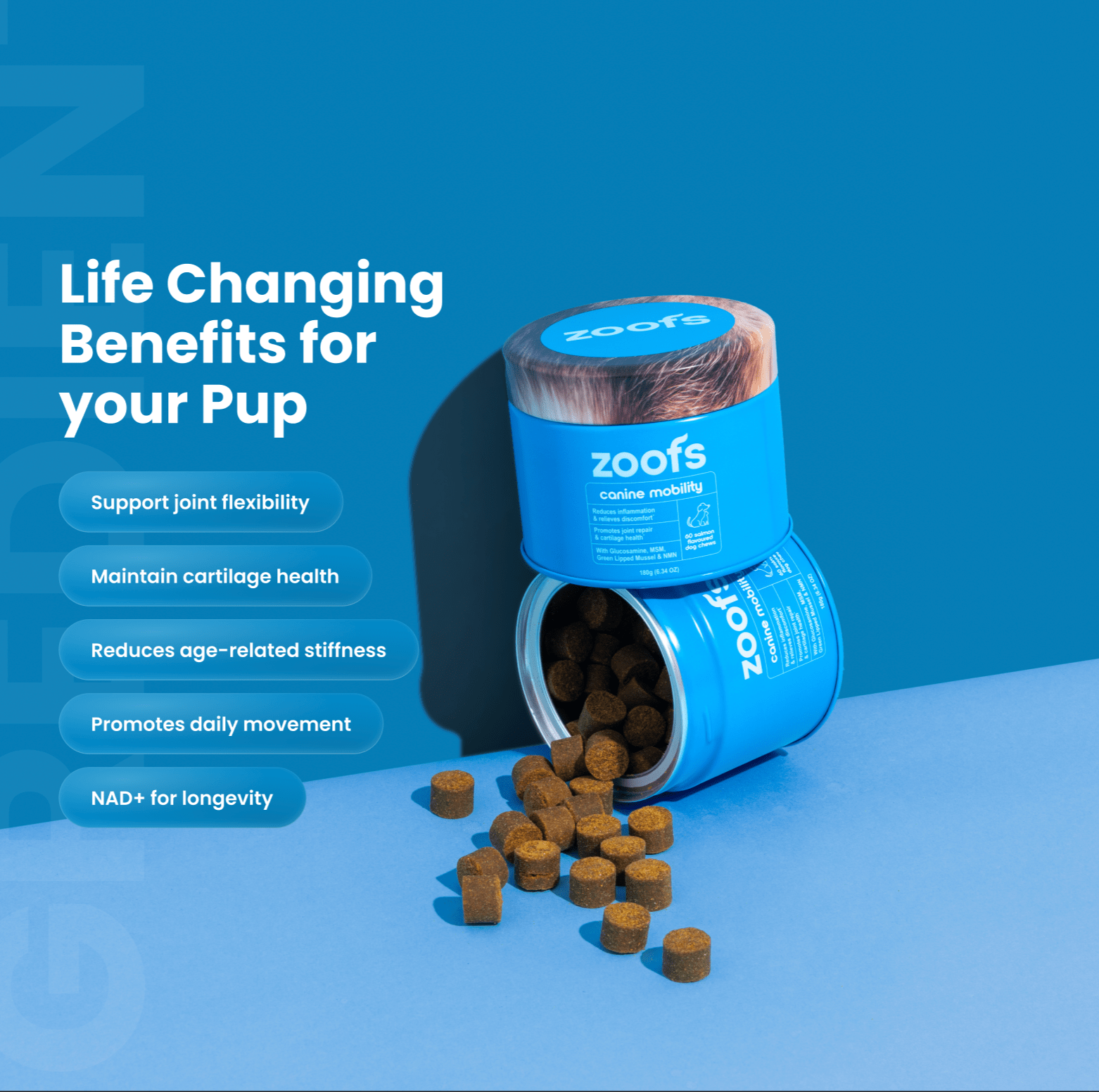 Mobility for Dogs - Hip, Joint & Longevity Health