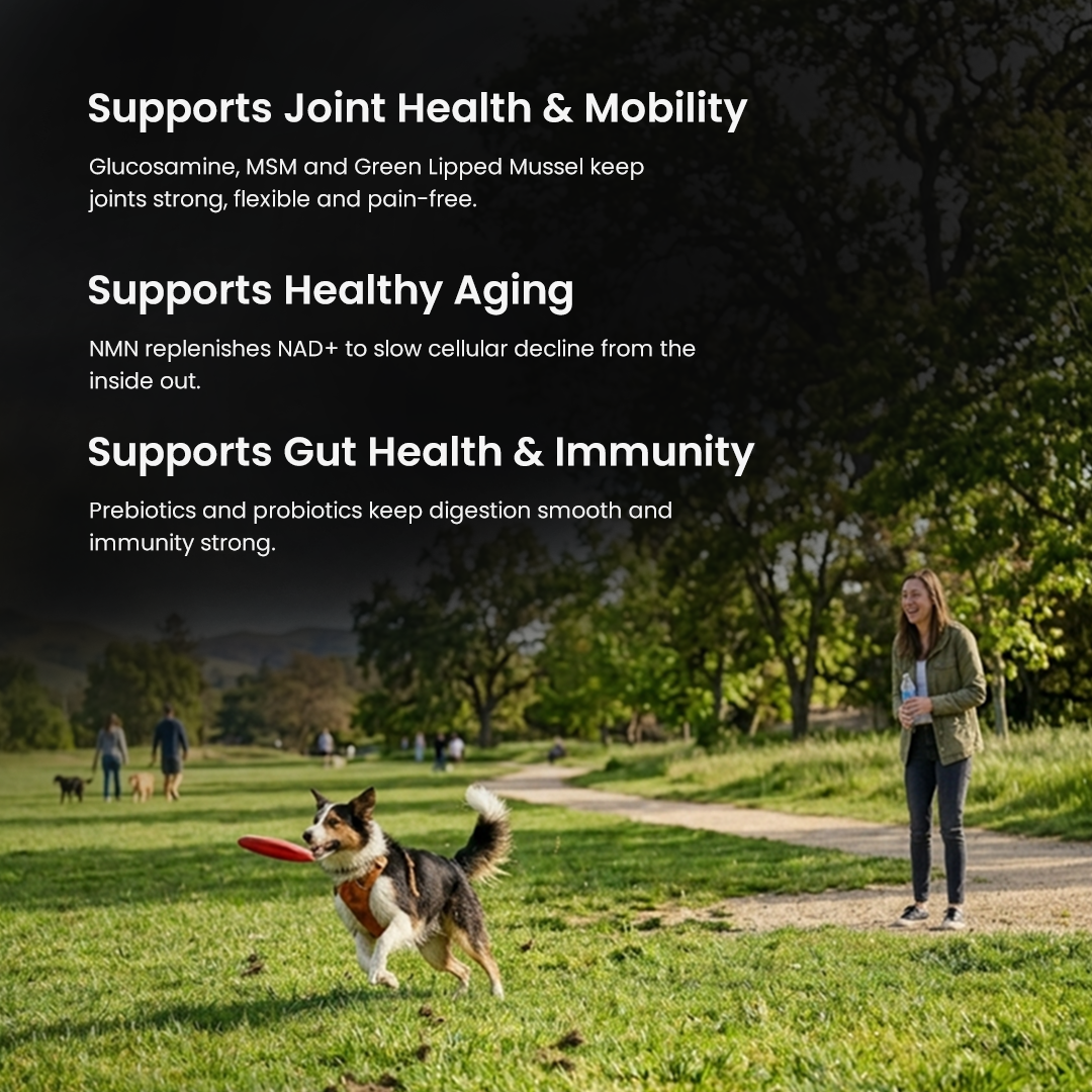 Active Bundle for Dogs