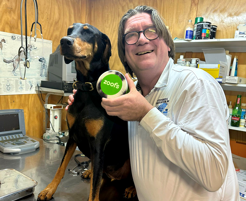 Active Bundle for Dogs - Mobility, Longevity, Gut & Digestive Health