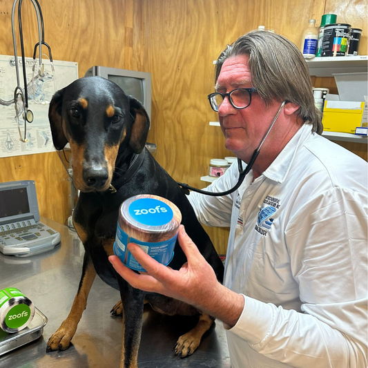 What Makes Zoofs Chews Different? Behind the Scenes of Our Formulas
