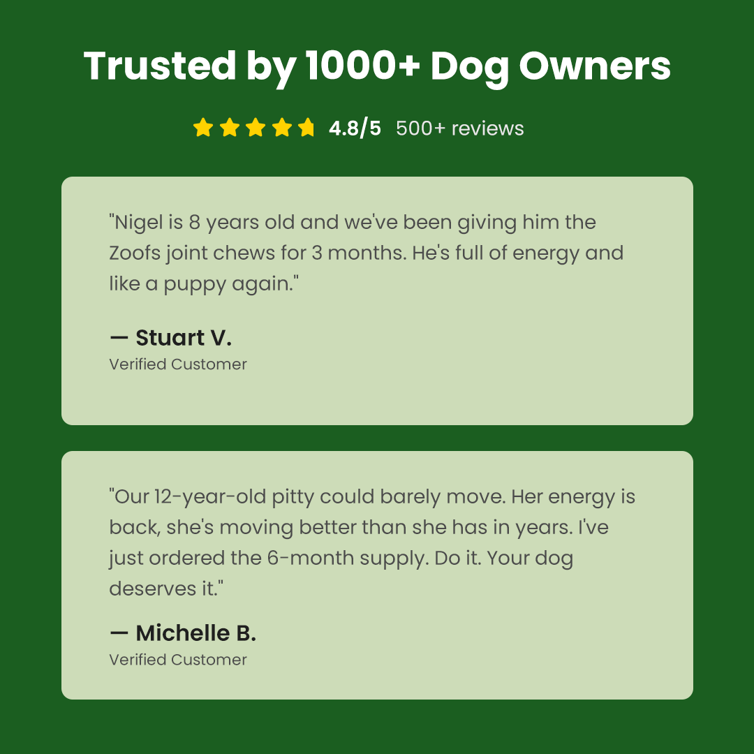 Active Bundle for Dogs