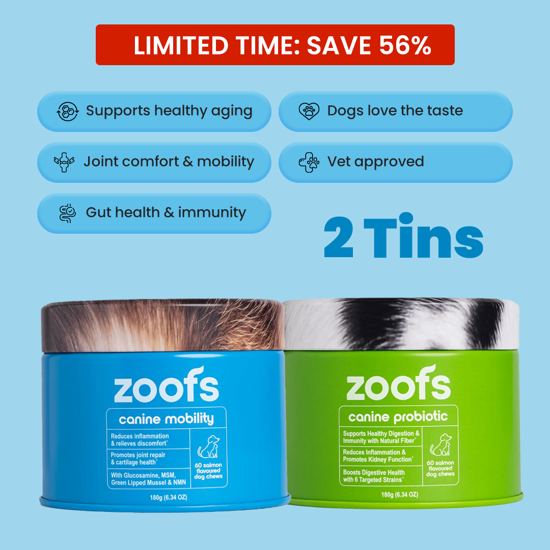 Active Bundle for Dogs