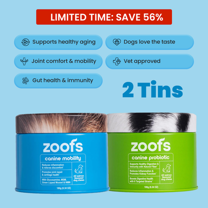 Active Bundle for Dogs