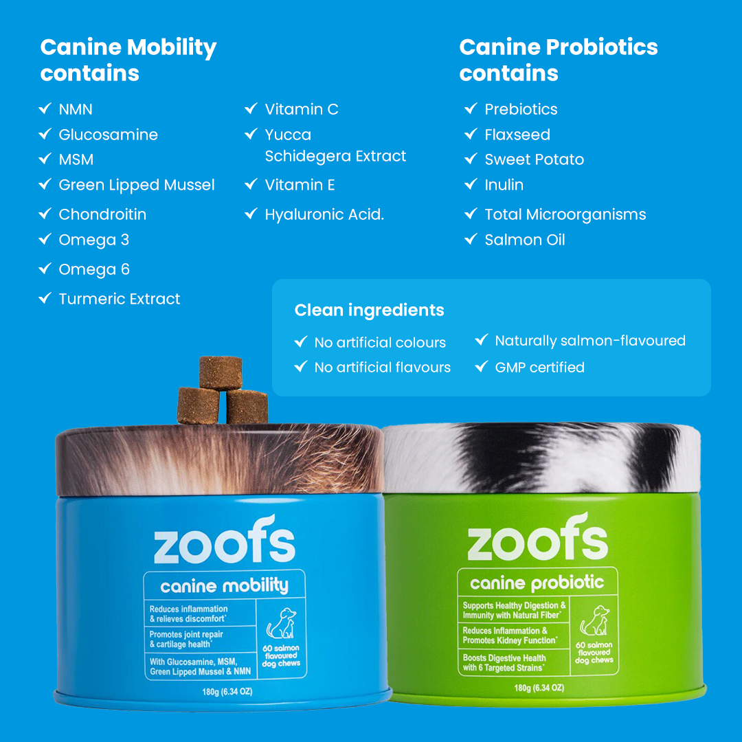 Active Bundle for Dogs
